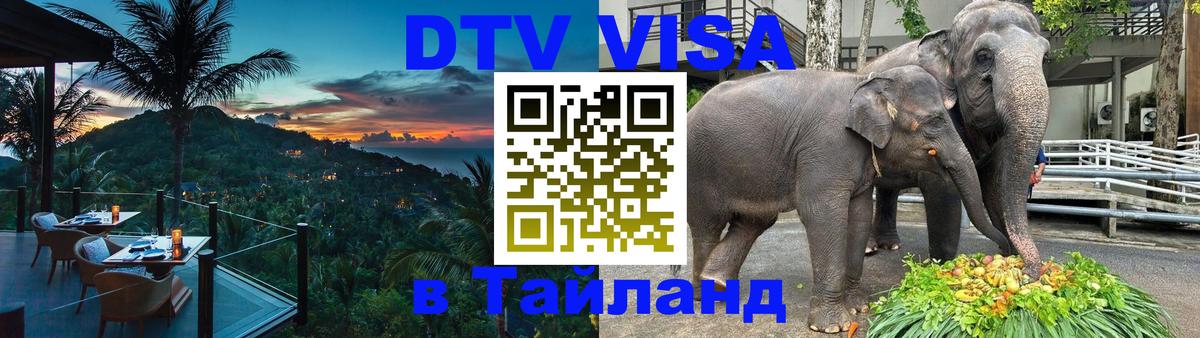 DTV Visa Тайланд купить 